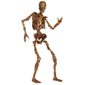 Jointed Skeleton 6 ft