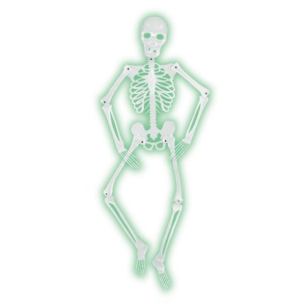 Mr Bones-A-Glo Skeleton