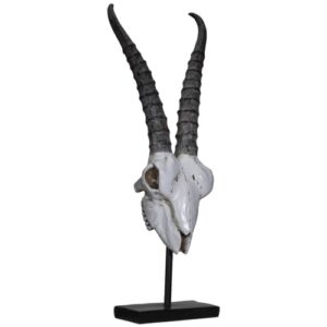 Antelope Skull on Stand