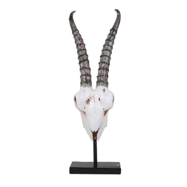 Antelope Skull on Stand