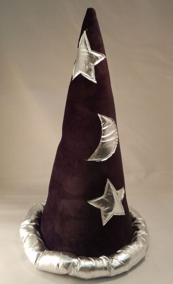 Black and Silver Wizard Hat