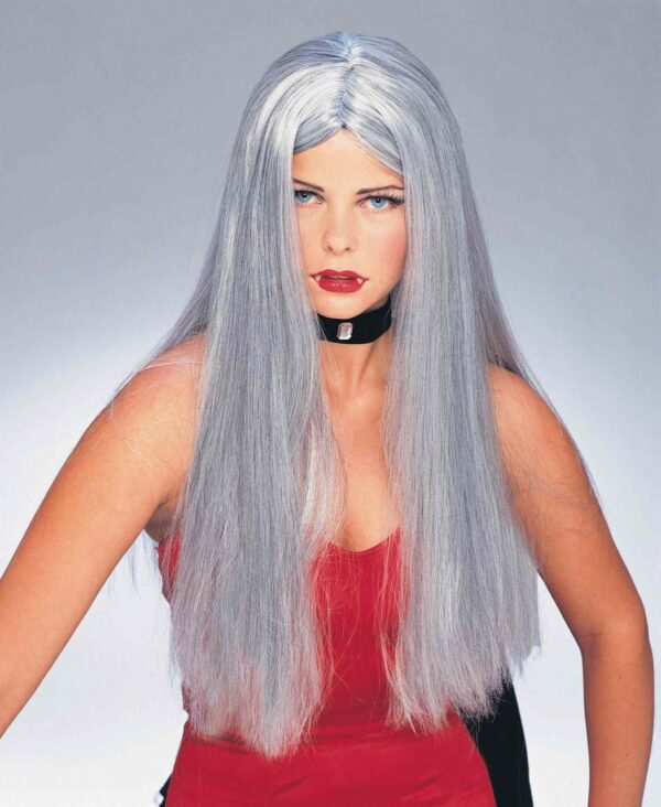 Long Grey Wig