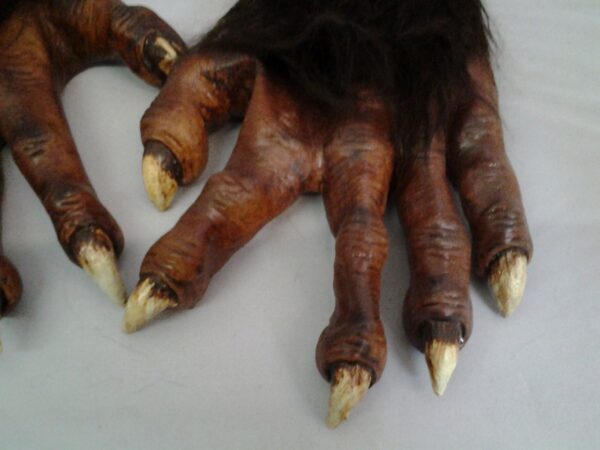 Deluxe Werewolf Hands Gloves