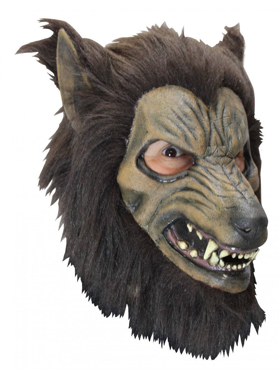 Bardwulf Brown Werewolf Latex Adult Mask