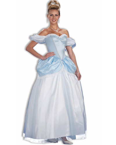 Story Book Princess Adult Women's Cinderella Costume