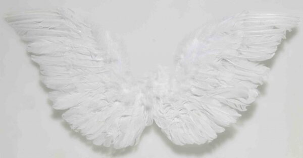 Small White Angel Feather Wings