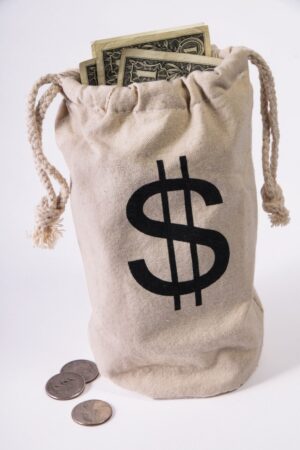 Wild West Money Bag