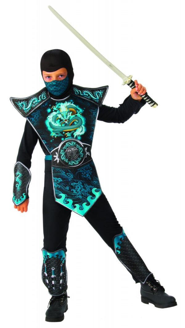 Blue Dragon Ninja Kids Costume