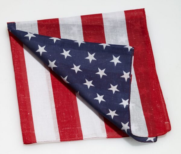 American Flag Bandana