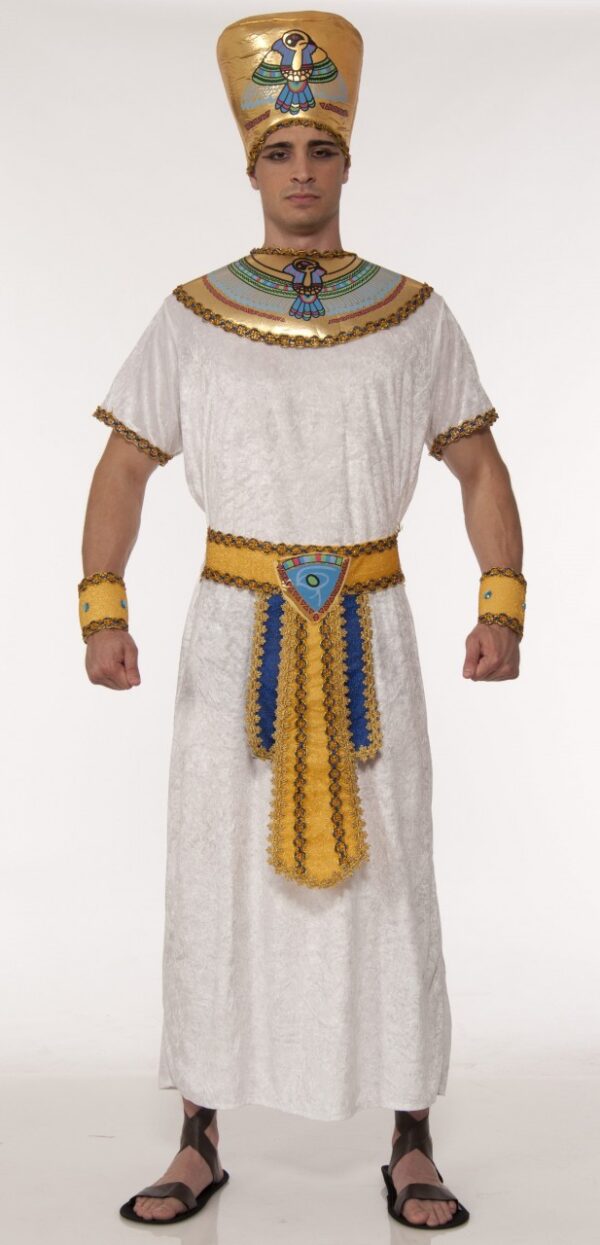 Egyptian King Adult Costume