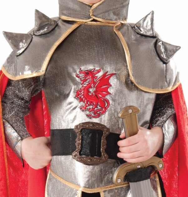 Silver Knight Kids Renaissance Costume