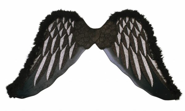 Black Angel Wings