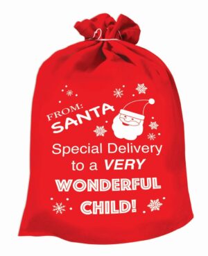 Santa Gift Bag