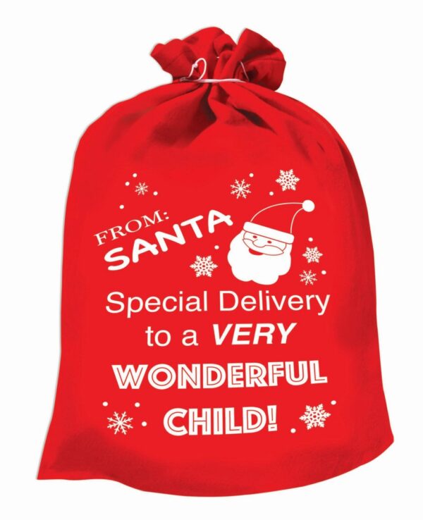 Santa Gift Bag