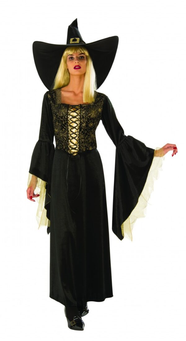 Golden Web Witch Women's Costume