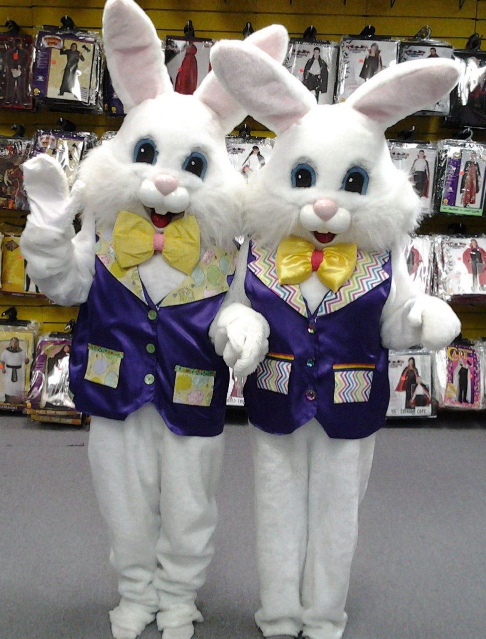 Easter Bunny with  Purple Vest