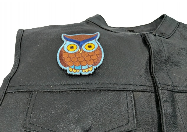 Cute Owl Patch