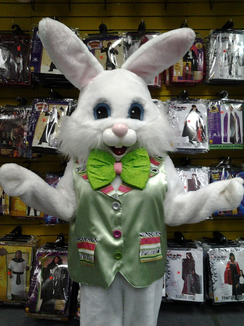 Deluxe Easter Bunny with Green Vest