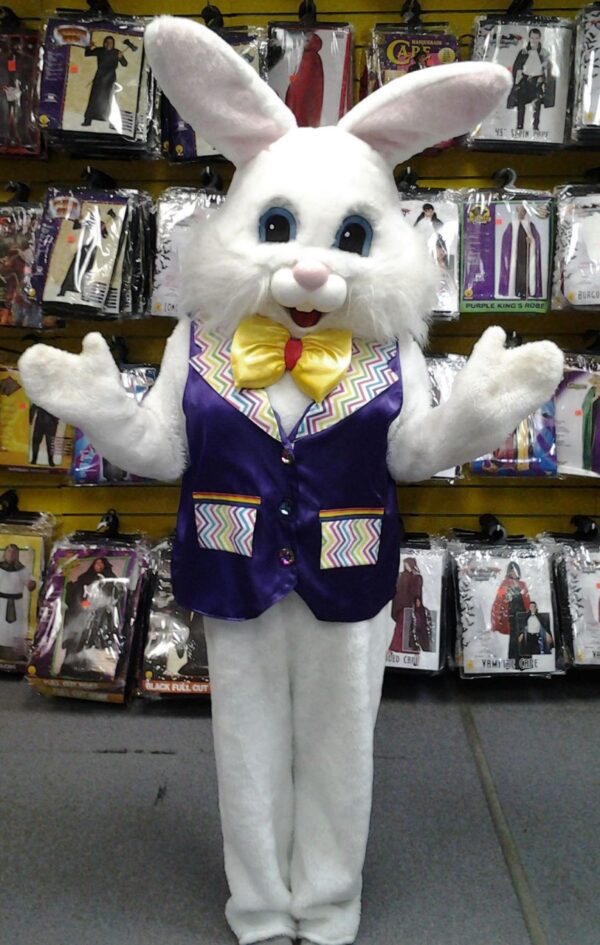 Easter Bunny with  Purple Vest