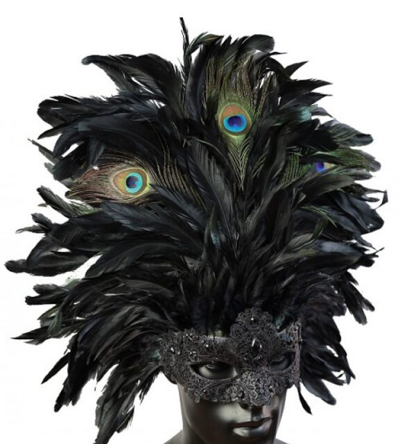 Black Masquerade Mask with Full Feathers