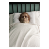 Dawn of the Dead - Roger Pillow Pal Prop - Screamers Costumes