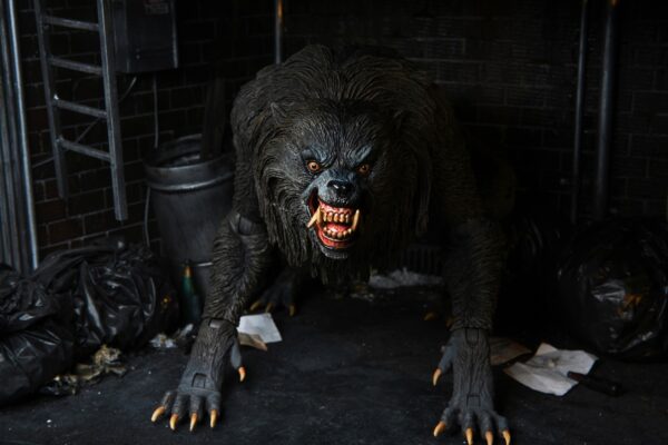 An American Werewolf In London Ultimate Kessler Wolf collectors items.