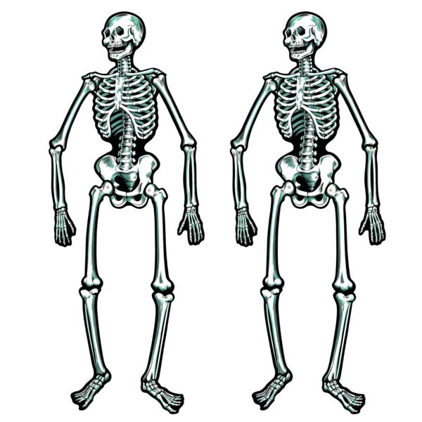 Two Jointed Skeletons standing next to each other