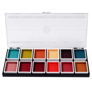 12 Color Complexion Alcohol Activated Palette