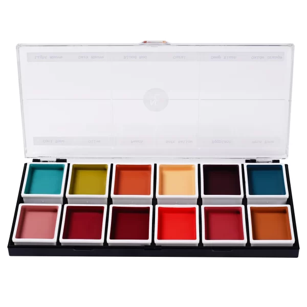 12 Color Complexion Alcohol Activated Palette