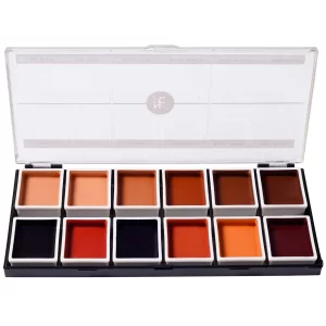 12 Color Dark Flesh Tone Alcohol Activated Palette