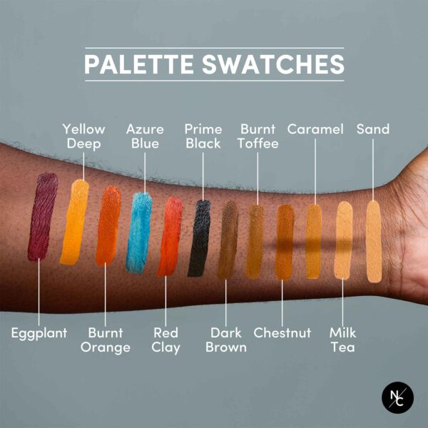 12 Color Dark Flesh Tone Alcohol Activated Palette - Image 3