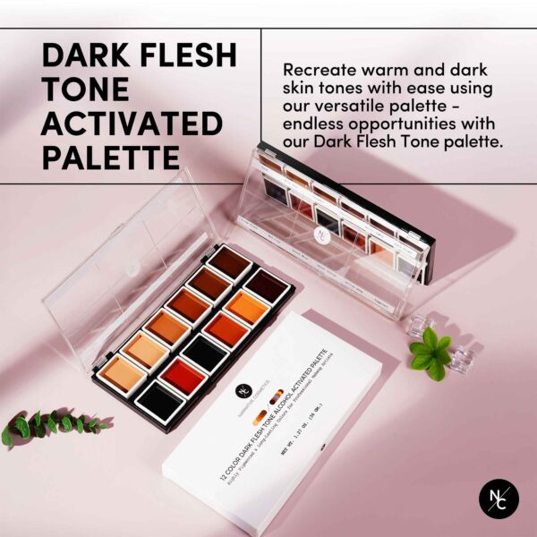 12 Color Dark Flesh Tone Alcohol Activated Palette - Image 4