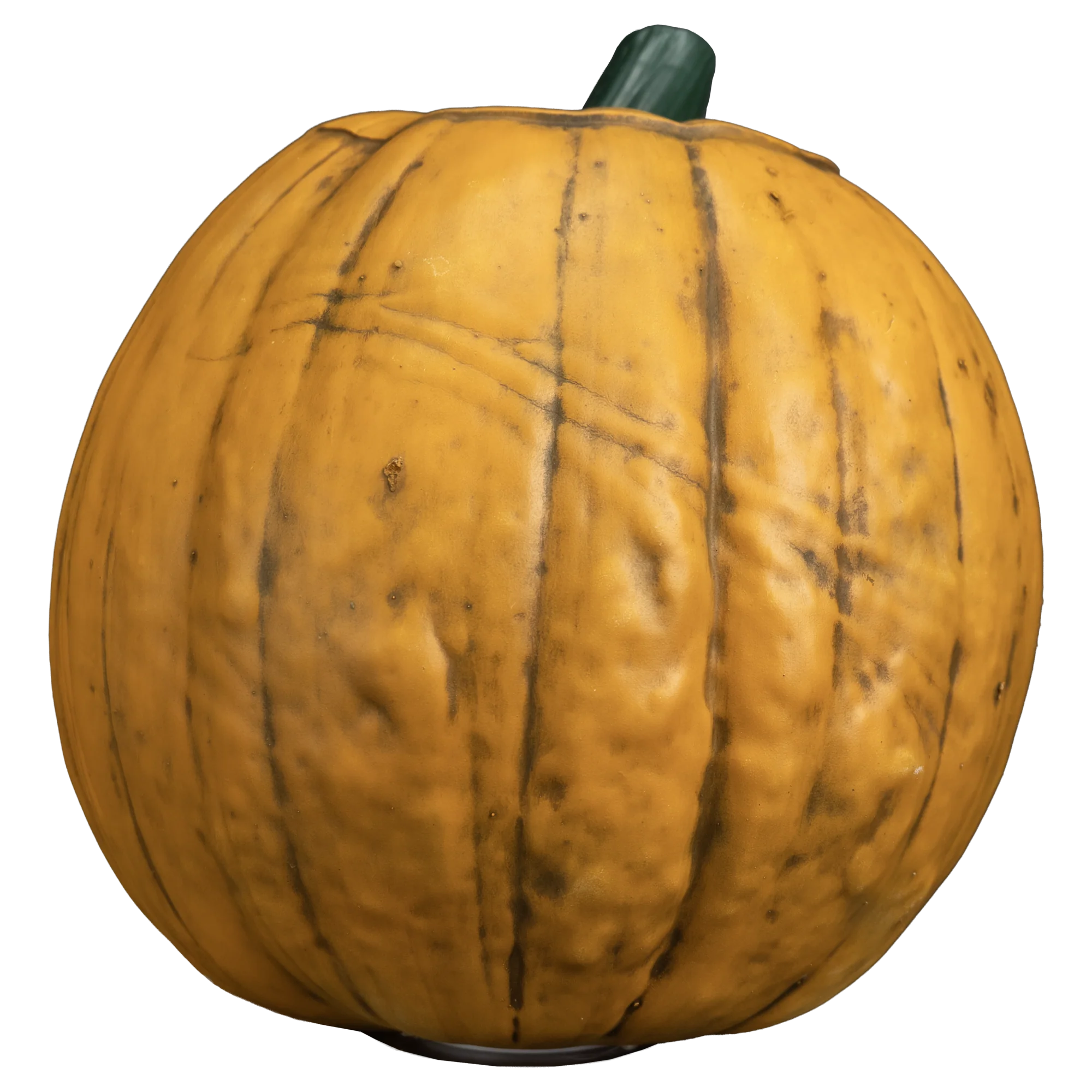 Sleepy Hollow - Light up Pumpkin Prop - Image 3
